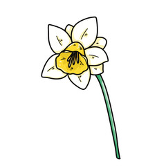Hand-Drawn Daffodil Clipart Set – 14 PNG Floral Illustrations