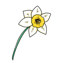 Hand-Drawn Daffodil Clipart Set – 14 PNG Floral Illustrations