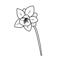 Hand-Drawn Daffodil Clipart Set – 14 PNG Floral Illustrations