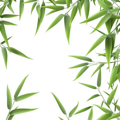 bamboo leaves background