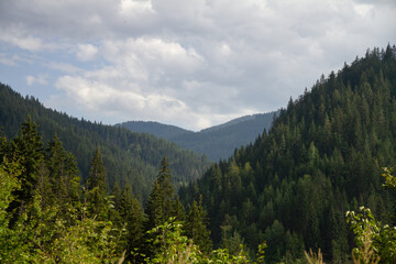 Nature