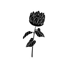 Black Sunflower