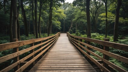 Wooden walkway through a dense green forest surrounded by trees and ferns under soft natural lighting