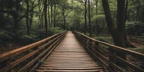 Obraz premium Wooden pathway through dense green forest with tall trees and natural light creating shadows on the ground