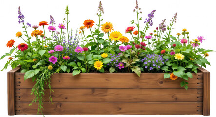 Vibrant Summer Flower Garden in Wooden Planter Box Blooming Blossoms Colorful Flowers