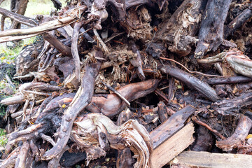 
a large pile of wood chips consisting of branches and trunks.