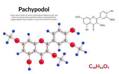 Pachypodol plant flavonol, molecular structure formula, ball-and-stick model, suitable for education or chemistry science content. Vector illustration
