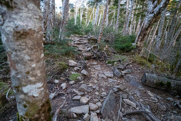 Kunishigatake, Koubushigatake and surrounding views