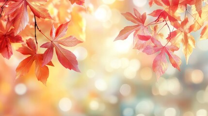 Fototapeta premium Autumn leaves display vibrant colors of the beautiful season gracefully