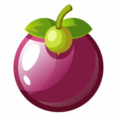 bulbous mangosteen