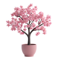 pink cherry blossom