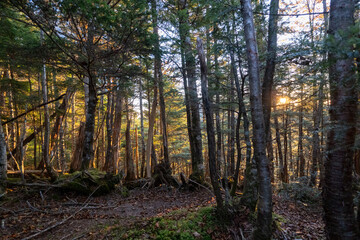 Fototapeta premium Kunishigatake, Koubushigatake and surrounding views