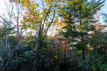 Kunishigatake, Koubushigatake and surrounding views