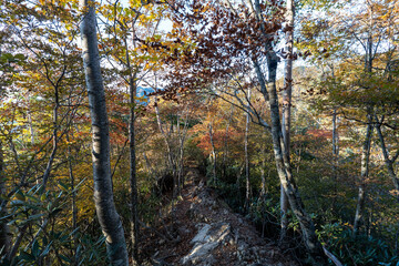 Kunishigatake, Koubushigatake and surrounding views