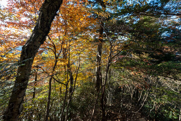 Obraz premium Kunishigatake, Koubushigatake and surrounding views