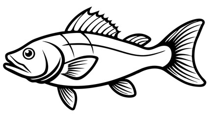 Fish Skeleton X-Ray View with Detailed Anatomy in Black and White Scientific Drawing