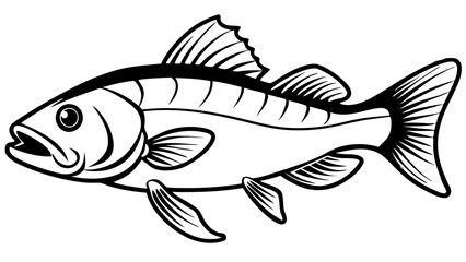 Fish Skeleton X-Ray View with Detailed Anatomy in Black and White Scientific Drawing