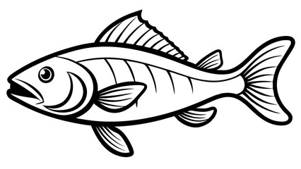 Fish Skeleton X-Ray View with Detailed Anatomy in Black and White Scientific Drawing