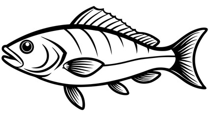 Fish Skeleton X-Ray View with Detailed Anatomy in Black and White Scientific Drawing