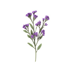 Obraz premium Delicate Purple Flowers Blooming Beautifully against a Dark Background Botanical Elegance Natural Beauty