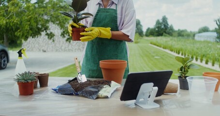 Young woman in an apron and rubber gloves transplants flowers while standing in the backyard
