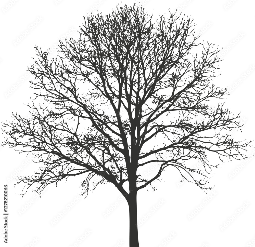 Aufkleber silhouette of a leafless tree with intricate branches on white background.