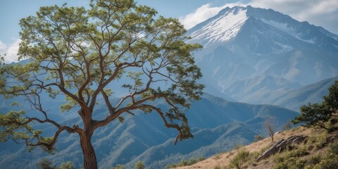 Majestic Tree Against Mountain Landscape with Clear Sky and Ample Copy Space for Textual Content