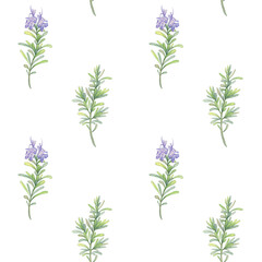Sprigs of blooming rosemary. Simple watercolor pattern on white background. Hand drawn botanical illustration. Perfect for printing on fabric, wrapping paper, natural products