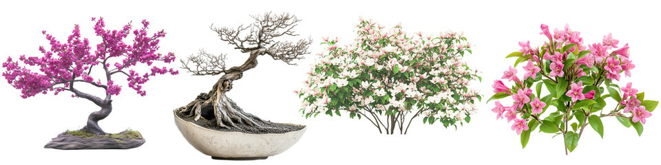 Blooming Shrubs in Springtime, png set