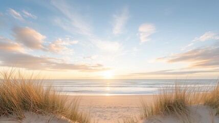 Golden sunrise filtering through swaying beach grass summer, illuminating tranquil sandy shoreline and calm ocean waters background Copy space for text