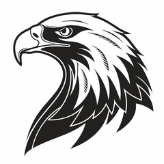 Obraz premium his stylized, graphic illustration showcases a detailed line drawing Line Art Illustration of an Eagle's