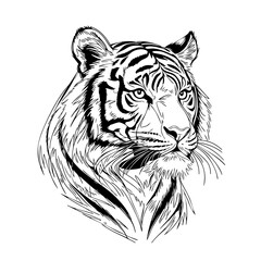 Tiger Side View Illustration – Hand Drawn Black and White Wild Animal Line Art for Tattoo, Logo Design, or Wildlife Poster