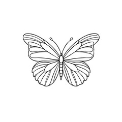 Minimalist Butterfly Illustration – Black and White Butterfly Outline for Tattoos, Coloring Pages, and Printable Art