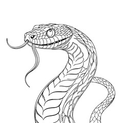 Fototapeta premium Realistic Snake Illustration – Black and White Cobra Drawing for Tattoos, Science, and Printable Wildlife Art