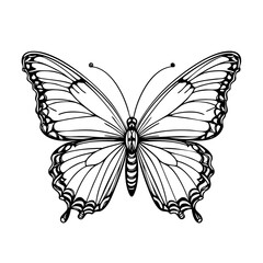 Elegant Butterfly Illustration – Black and White Outline Drawing for Coloring Pages, Nature Art, and Printable Tattoo Designs