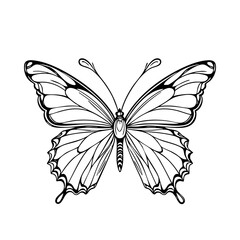 Elegant Butterfly Illustration – Black and White Outline Drawing for Coloring Pages, Nature Art, and Printable Tattoo Designs