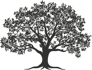 Obraz premium Silhouette of a tree with detailed branches and leaves in black.
