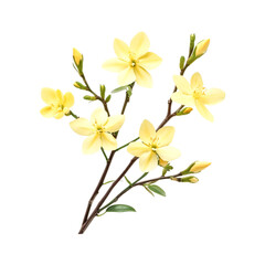 Fototapeta premium Delicate Pale Yellow Flowers Blooming Beautifully on a Branch Springtime Serenity