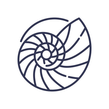 recommend clip art: Illustration of a nautilus shell spiral, symbolizing the Fibonacci sequence in nature.