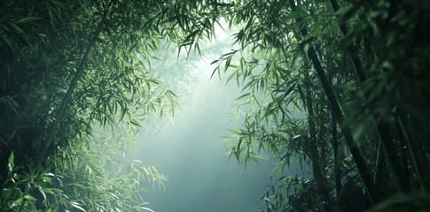 Obraz premium Lush bamboo forest with green leaves and soft light filtering