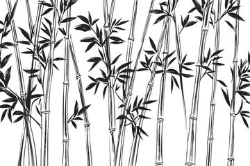 Black and white bamboo sketch illustration with leaves and stalks.