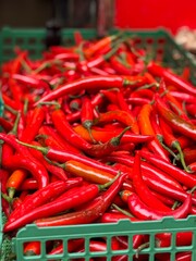 Red chili peppers in basket