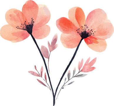 watercolor flowers, peach, black stems, white background clip art preview
