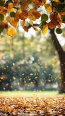 Autumnal Canopy of Golden Leaves Falling Gently in a Serene Forest Landscape with Bokeh Background and Warm Light Creating a Peaceful Atmosphere