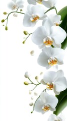 Obraz premium Elegant cascade of white orchids on a pristine background capturing the delicate beauty and graceful form of floral art for serene and refined aesthetic