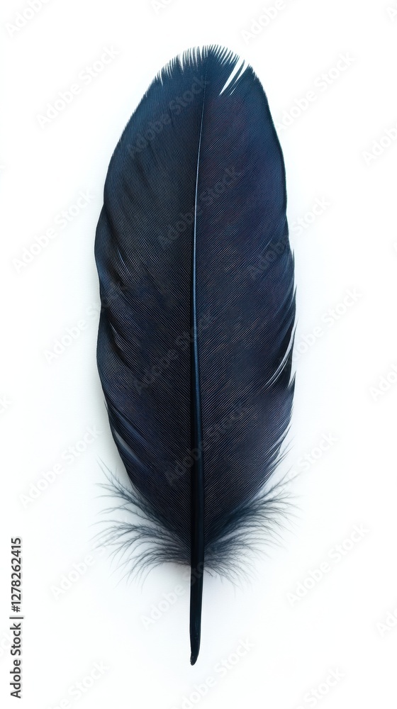 Poster captivating close up of a single dark blue feather against a pristine white backdrop creating a mini