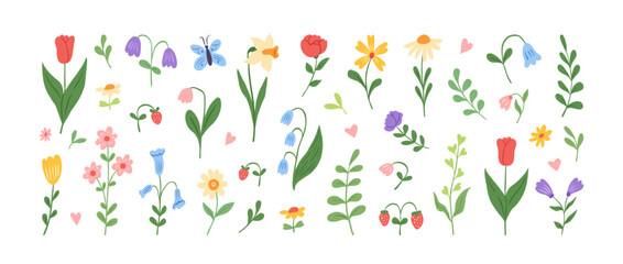 Set of spring and summer hand drawn flowers. Floral elements, wildflower, leaves and herb, plants, foliage on white background. Collection spring blossom icons. Vector flat illustration.