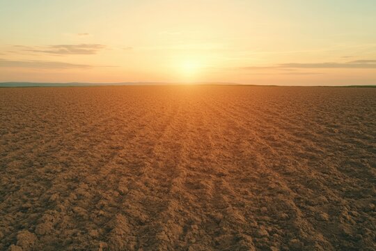 Golden sunrise illuminates vast, empty field with distinct furro