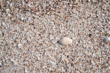 Sandy beach at low tide for background image.