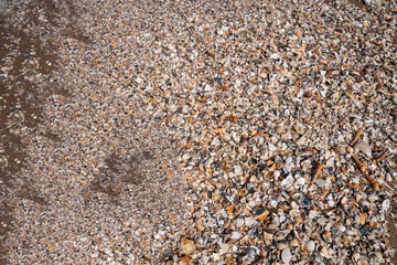 Sandy beach at low tide for background image.